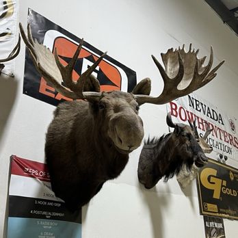 Impact Archery - Archery Near Me - Las Vegas, Nevada