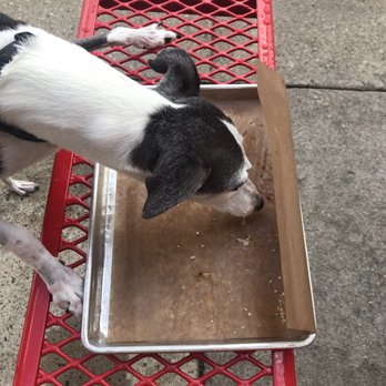 Feast BBQ - The patio is dog-friendly! - Barbeque Near Me - Louisville, Kentucky Feast BBQ - The patio is dog-friendly! - Barbeque Near Me - Louisville, Kentucky
