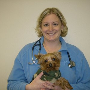 SIOUX FALLS AREA HUMANE SOCIETY - Updated December 2024 - 3720 E Benson