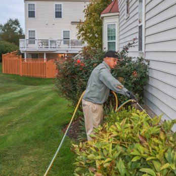 PestNow - Pest Control Near Me - Manassas, Virginia PestNow - Pest Control Near Me - Manassas, Virginia