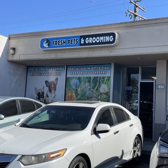 Fresh Pets And Grooming - Pet Stores Near Me - Lomita, California