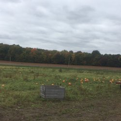 La Magie de la Pomme - Champs de citrouille et courges pour l'auto-cueillette
