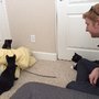 Carson Tahoe Spca