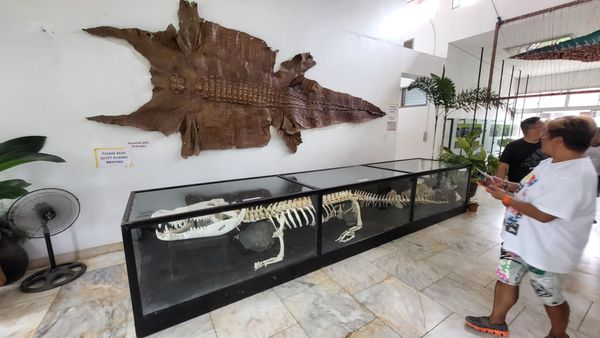 Palawan Wildlife Rescue and Conservation Center (Crocodile Farm) by null