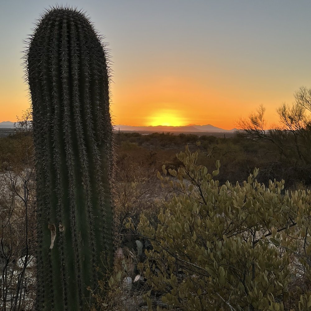Sunset over Tucson. The home of real Mexican food. Sunset over Tucson. The home of real Mexican food.