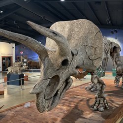 Bandera Natural History & Art Museum