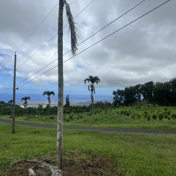 UCC Hawaii - The coffee farm with ocean view in the background! - Tours Near Me - Holualoa, Hawaii UCC Hawaii - The coffee farm with ocean view in the background! - Tours Near Me - Holualoa, Hawaii
