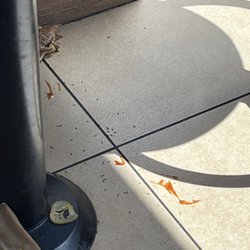 McDonald's - Ants
