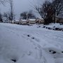 Photo of Riverview Resort & Country Store