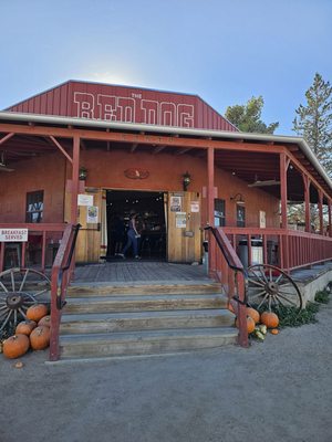 The Red Dog Saloon by null