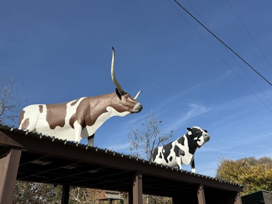 River Street Marketplace by null