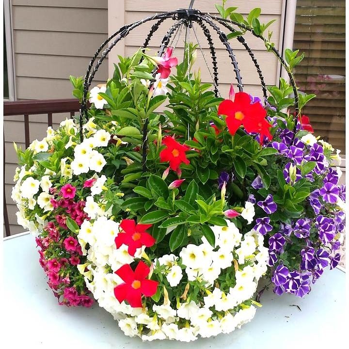 SCROLL TRELLIS Updated March 2024 5241 130th St N, Hugo, Minnesota