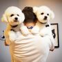 Photo of Pet Spa Toronto