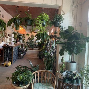 Fancy Free Nursery - Nurseries & Gardening Near Me - Tampa, Florida