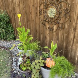 Black Hill Landscaping