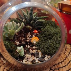 All Things Cozy: Yelp Event @ Spotted Leaf Plant Co - My terrarium creation!