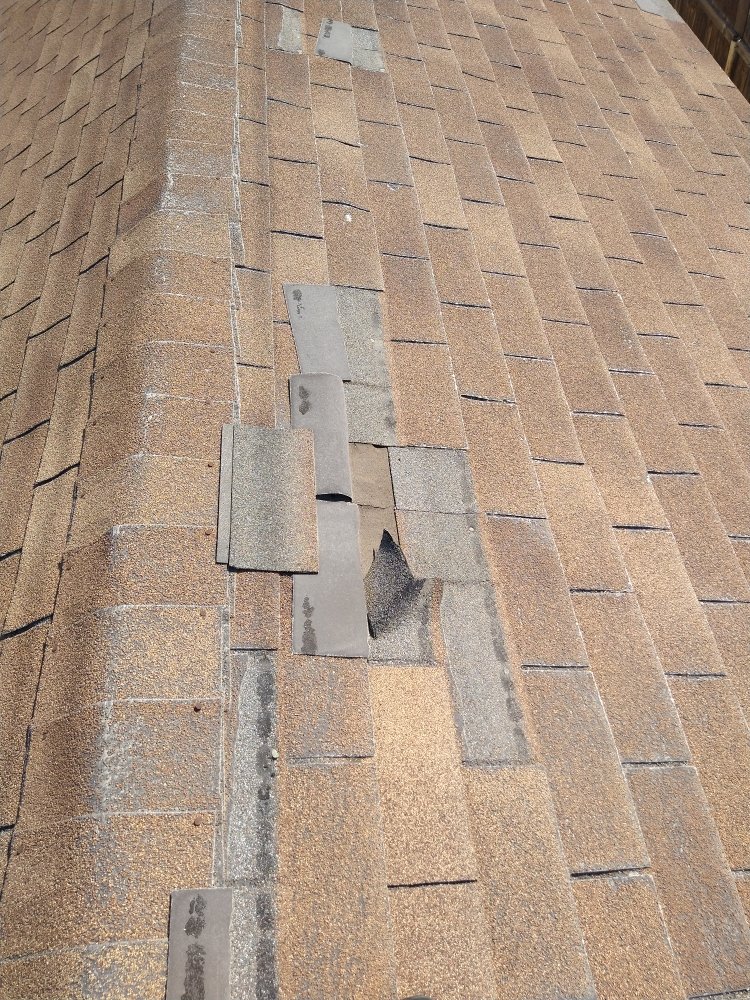 Slide of Castle Roofing