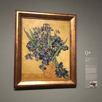 Van Gogh Museum - Vase with Irises Against a Yellow Background - Museums Near Me - Amsterdam, New Hampshire