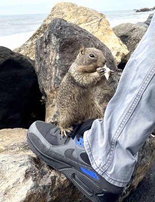 Colombo's Deli by null