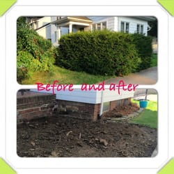 Attention 2 Detail Lawncare - HEDGE REMOVAL BEFORE AND AFTER.. NOW TO REDO THEM FOR THE CUSTOMER ...