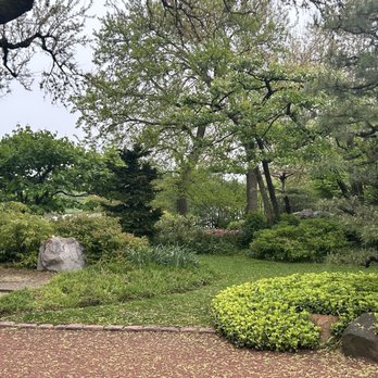 Japanese Garden - The garden in the summer - Botanical Gardens Near Me - Chicago, Illinois