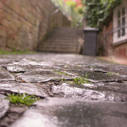 Aufstieg zum Schloss - Im Regen glitschig