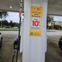 Photo of Shell