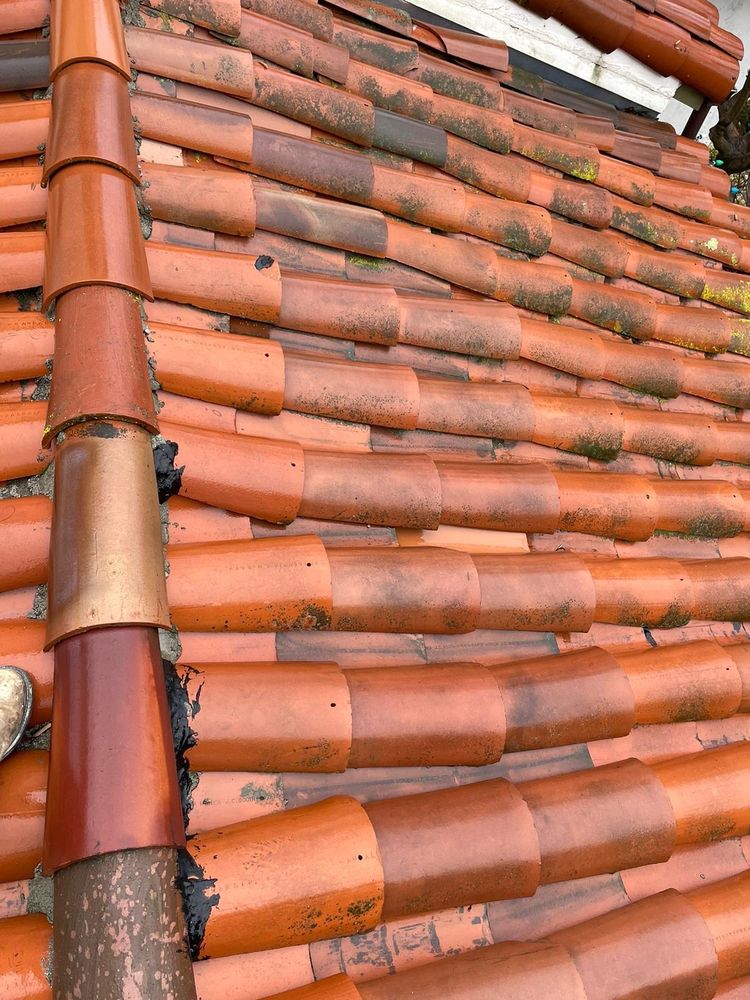 Slide of Selim’s Handyman