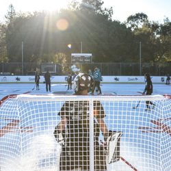 Roosevelt Rink