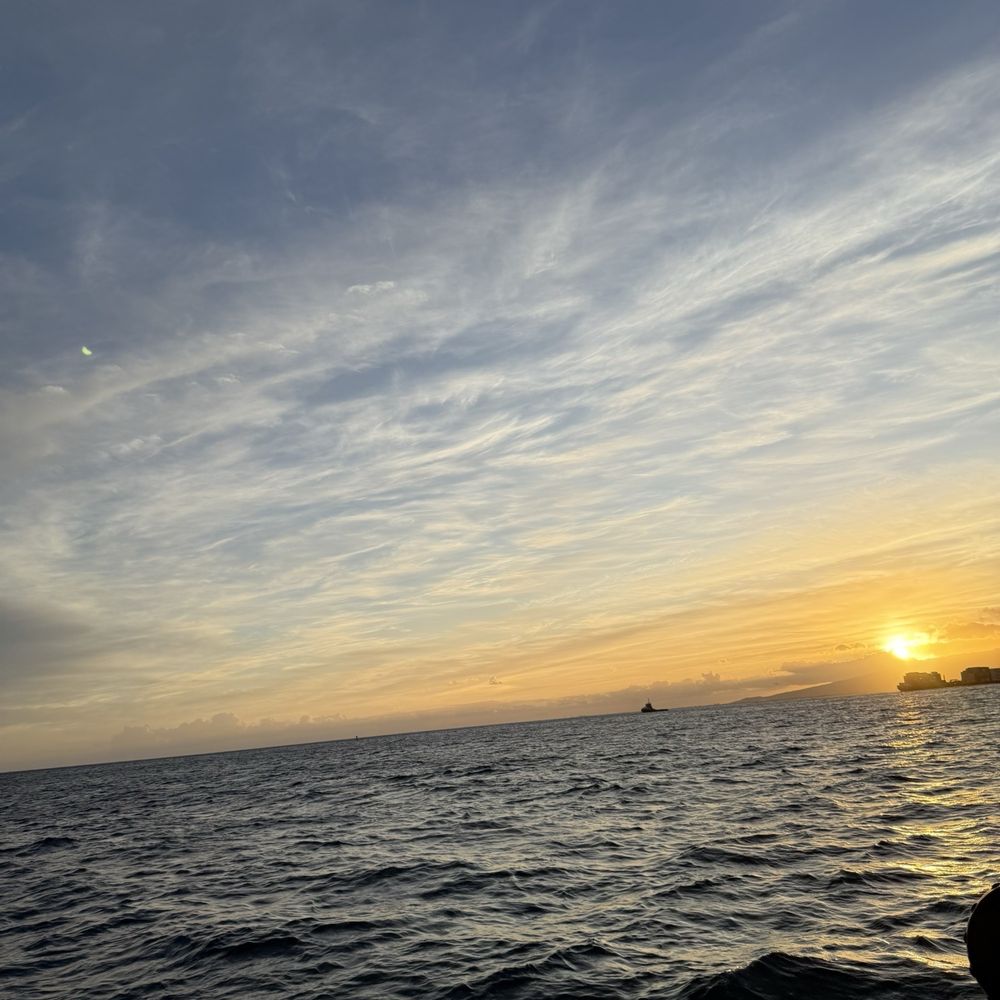 Living Ocean Tours - Sunset - Snorkeling Near Me - Honolulu, Hawaii Living Ocean Tours - Sunset - Snorkeling Near Me - Honolulu, Hawaii