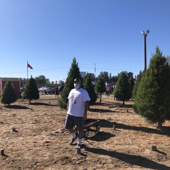 Holloway's Christmas Trees - Mr. Halloway helping us! - Christmas Trees Near Me - Nipomo, California Holloway's Christmas Trees - Mr. Halloway helping us! - Christmas Trees Near Me - Nipomo, California