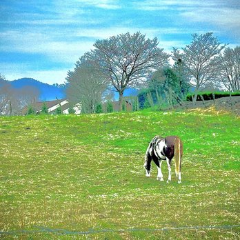 Trails End RV Park - RV Parks Near Me - Waynesville, North Carolina Trails End RV Park - RV Parks Near Me - Waynesville, North Carolina