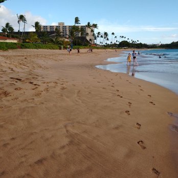 Dave's Metal Detecting - Maui beach - Metal Detector Services Near Me - Kihei, Hawaii Dave's Metal Detecting - Maui beach - Metal Detector Services Near Me - Kihei, Hawaii