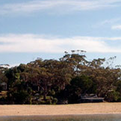 Bundeena & Maianmar Art Trail