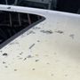 Photo of C & N Auto Glass