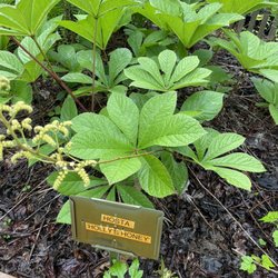 Barry's Greenhouses & Landscaping - Shade House