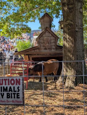 Bengtson's Pumpkin Farm and Fall Fest by null