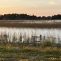 Photo of Paradise Point RV Park