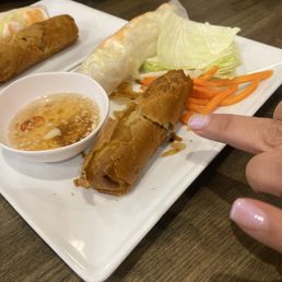 A1-spring Roll