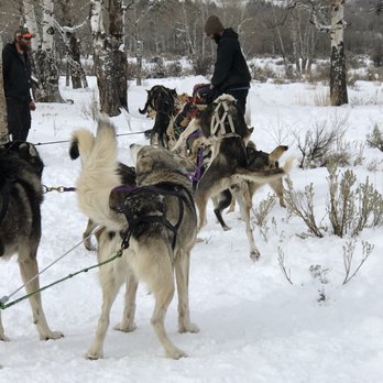 Mountain Musher - Tours Near Me - Bond, Colorado