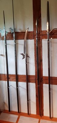 Imperial Castle of Nuremberg by null