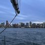 Photo of Classic Harbor Line