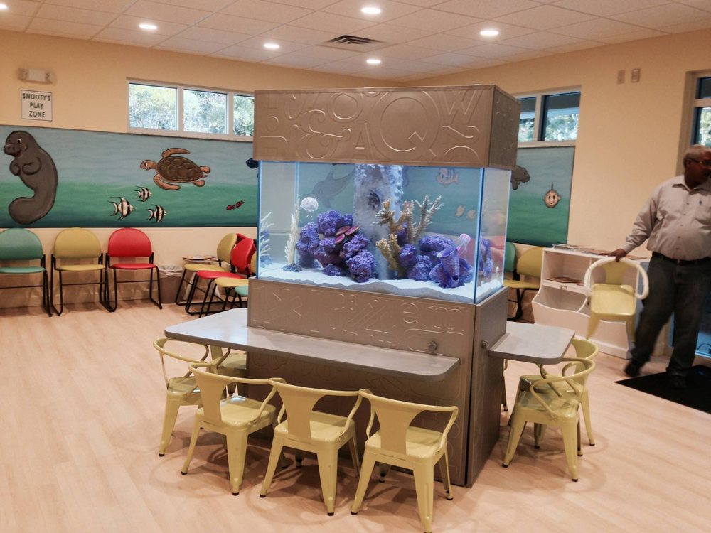 ECO REEF CORALS Updated October 2024 10 Photos 2137 S Tamiami Trl