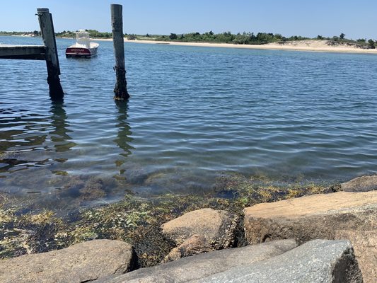 Menemsha Galley by null