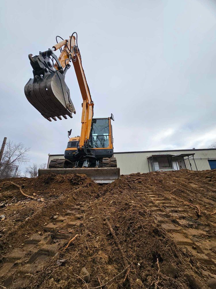 Forever Tree Care - tree service in Chicopee, MA