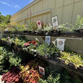 THE MEADOW - Updated February 2026 - 37 Photos & 13 Reviews - 7510