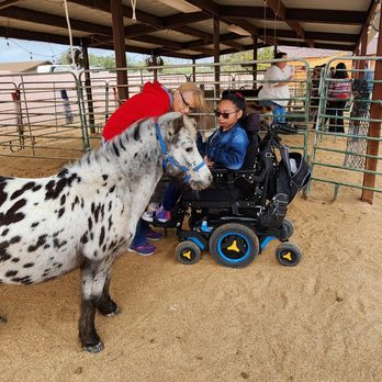 Happy Hooves - Attraction Farms Near Me - Phoenix, Arizona