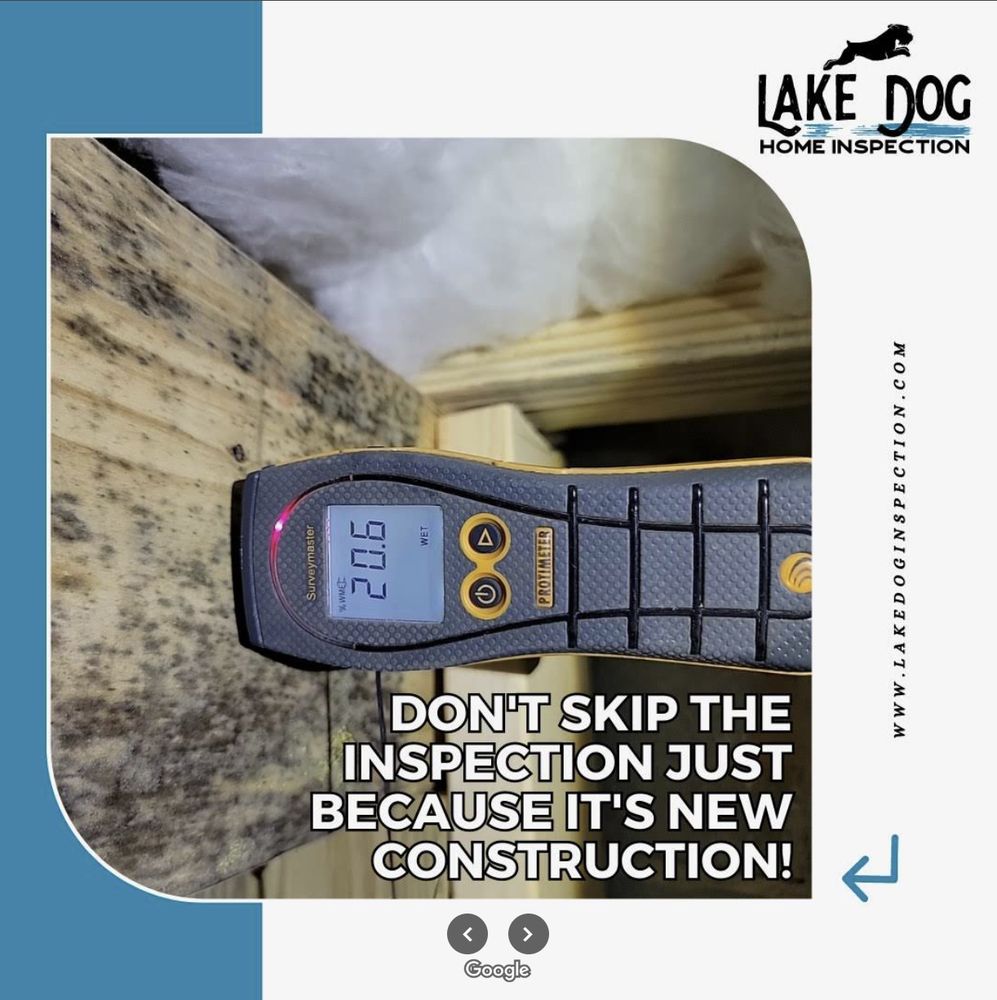 Lake Dog Home Inspection - mold inspector in Anderson, SC