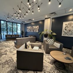 A beautiful lounge to lounge inside!