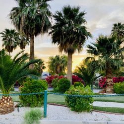 Iguana Bay Resorts